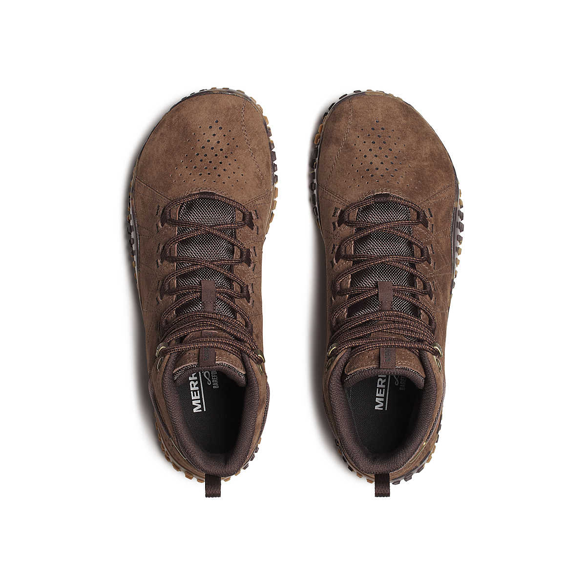 Wrapt Mid WP Mole Herre